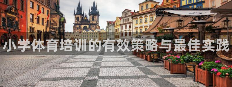 焦点娱乐网站下载地址：小学体育培训的有效策略与最佳实