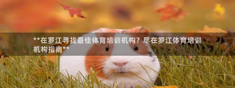 焦点娱乐传媒有限公司招聘信息：**在罗江寻找最佳体育