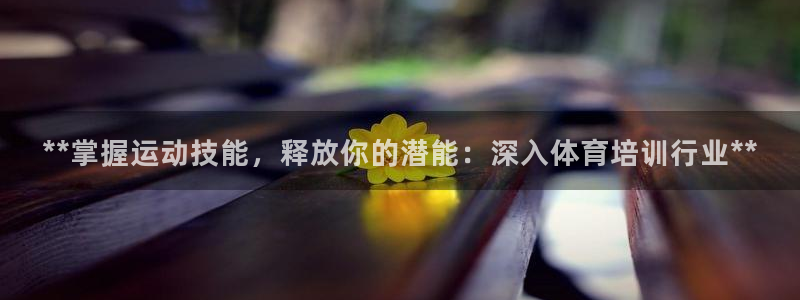 焦点娱乐公司的发展历程：**掌握运动技能，释放你的潜