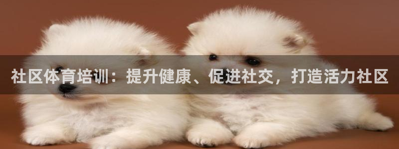 焦点娱乐有限公司：社区体育培训：提升健康、促进社交，