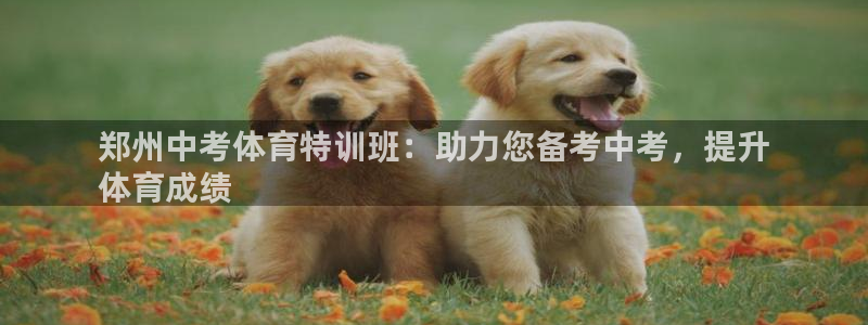 焦点娱乐公司的发展历程简介：郑州中考体育特训班：助力
