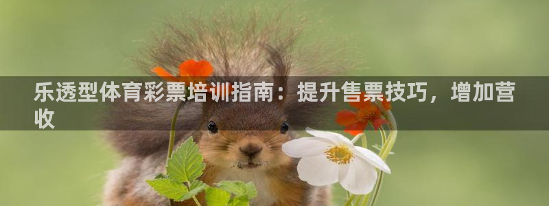 焦点娱乐平台注册账号安全吗：乐透型体育彩票培训指南：