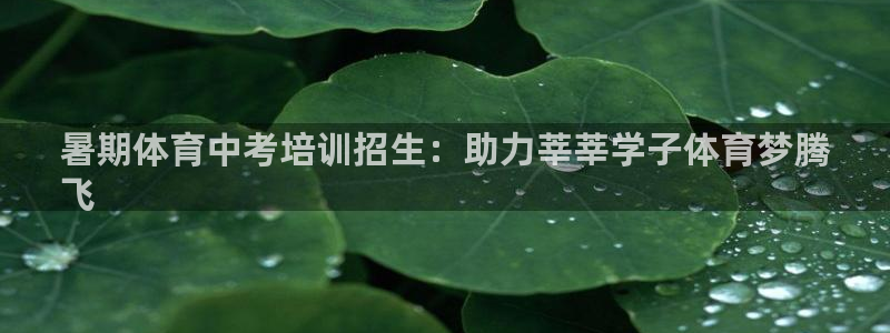 焦点娱乐挂机：暑期体育中考培训招生：助力莘莘学子体育
