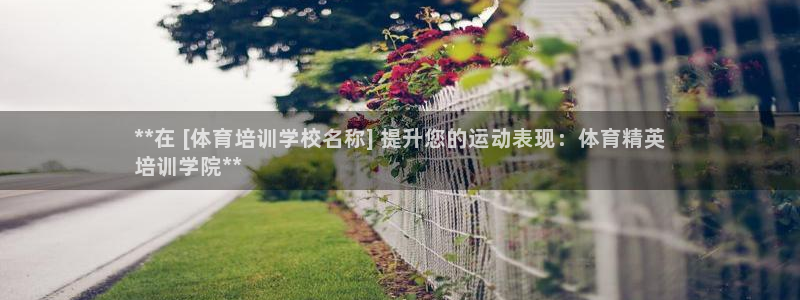 焦点娱乐股东是谁：**在 [体育培训学校名称] 提升