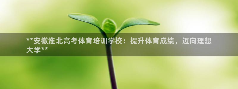 焦点娱乐挂机版下载：**安徽淮北高考体育培训学校：提