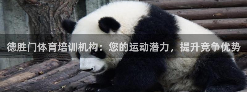 焦点娱乐平台登录不了怎么办：德胜门体育培训机构：您的