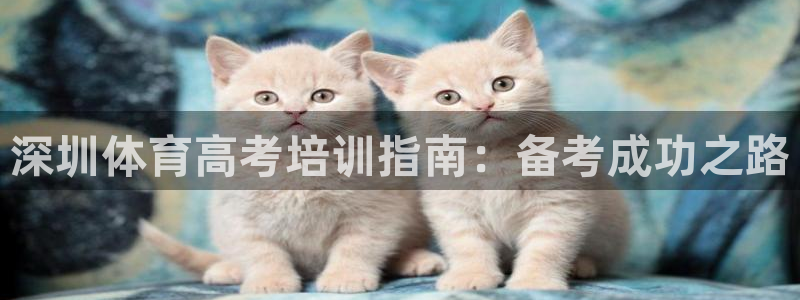 焦点娱乐传媒有限公司怎么样知乎：深圳体育高考培训指南