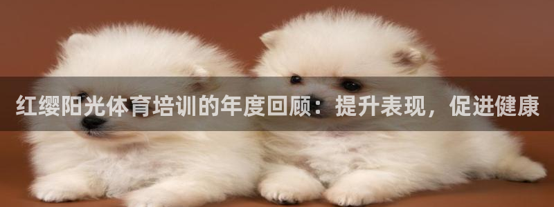 焦点娱乐下载手机版官网：红缨阳光体育培训的年度回顾：提升表现