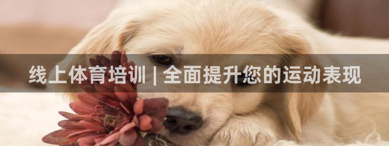 焦点娱乐陈江河：线上体育培训 | 全面提升您的运动表