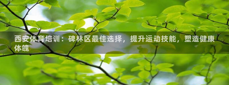 焦点娱乐游戏攻略：西安体育培训：碑林区最佳选择，提升