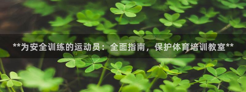 焦点娱乐公司简介资料：**为安全训练的运动员：全面指