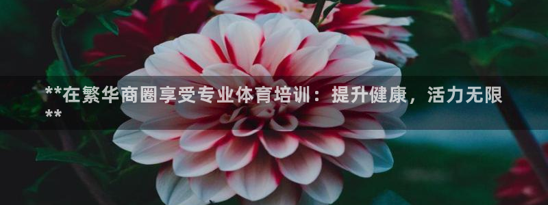 焦点娱乐总代理是谁：**在繁华商圈享受专业体育培训：