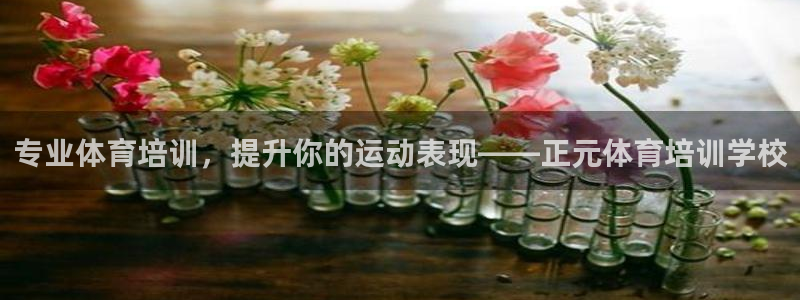 焦点娱乐总代理在哪