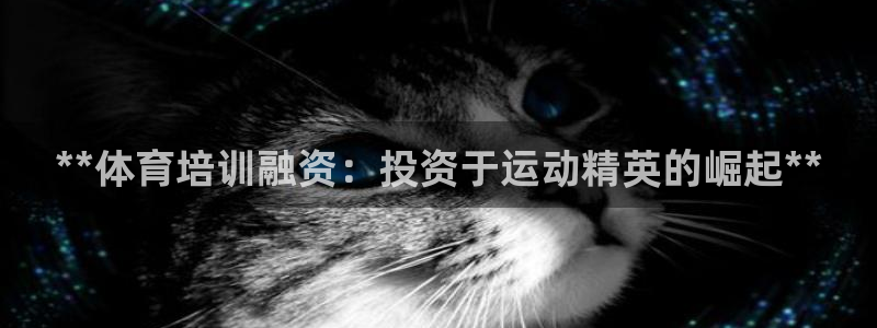 焦点娱乐说说句子：**体育培训融资：投资于运动精英的