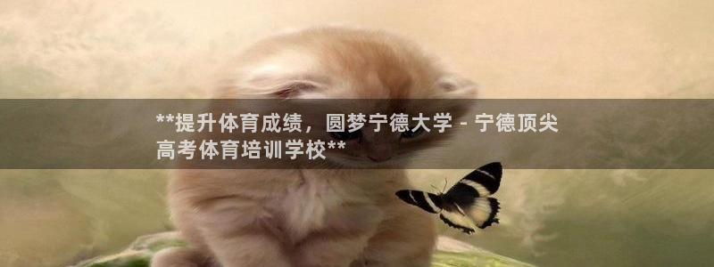 焦点娱乐vs皇族不败神话下载：**提升体育成绩，圆梦