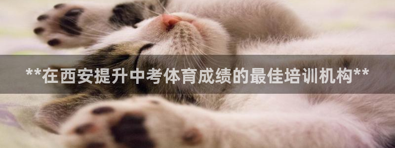 焦点娱乐皮皮虾视频：**在西安提升中考体育成绩的最佳