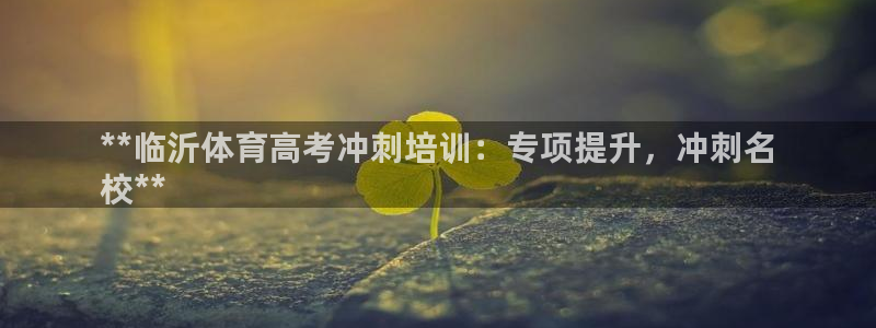 焦点娱乐传媒有限公司：**临沂体育高考冲刺培训：专项