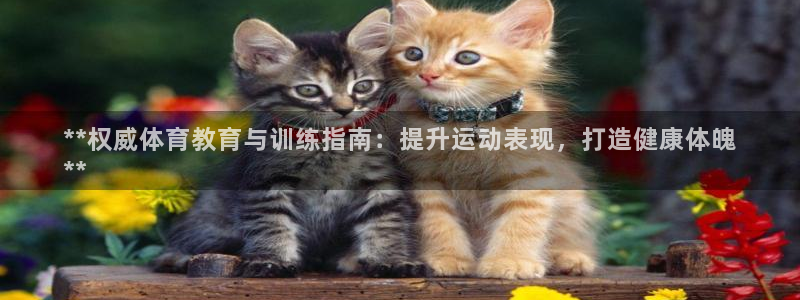 焦点娱乐全国总冠军都有谁：**权威体育教育与训练指南