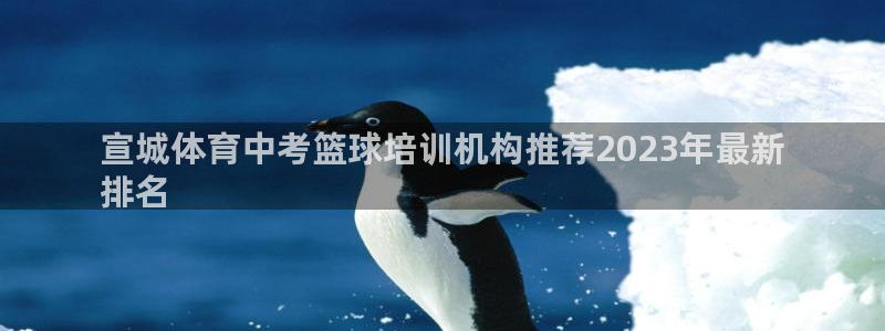 焦点娱乐拉菲11月11日：宣城体育中考篮球培训机构推