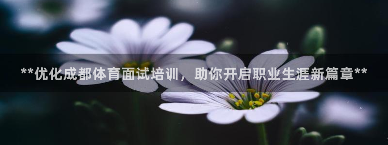 焦点娱乐平台注册账号是什么样的：**优化成都体育面试