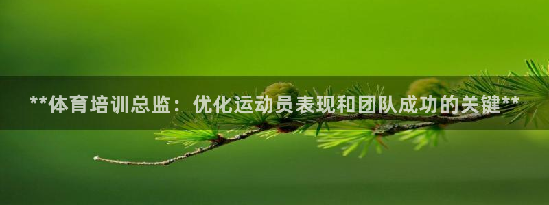 焦点娱乐传媒有限公司招聘要求：**体育培训总监：优化
