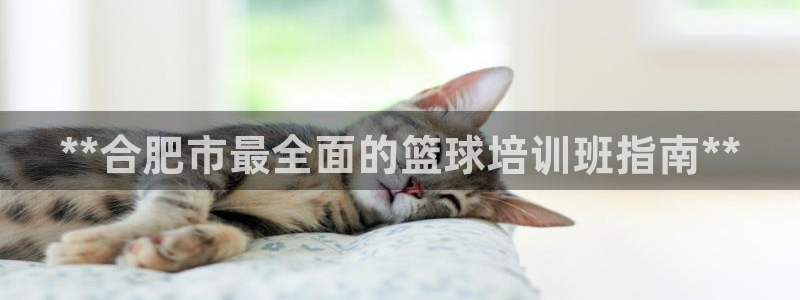 焦点娱乐官网下载安装手机版：**合肥市最全面的篮球培