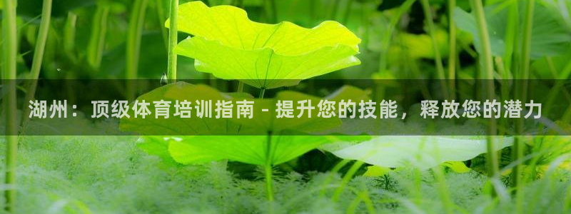 焦点娱乐app下载安装方式是什么：湖州：顶级体育培训