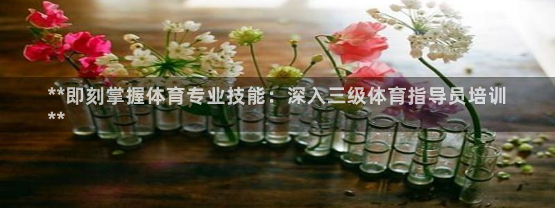 焦点娱乐星：**即刻掌握体育专业技能：深入三级体育指
