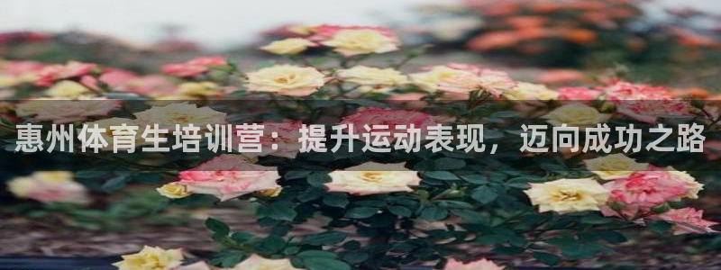 焦点娱乐平台登录不了怎么办：惠州体育生培训营：提升运