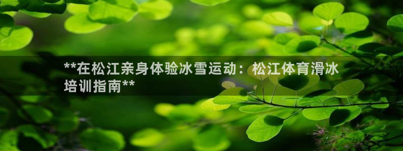 焦点娱乐公司是干嘛的：**在松江亲身体验冰雪运动：松