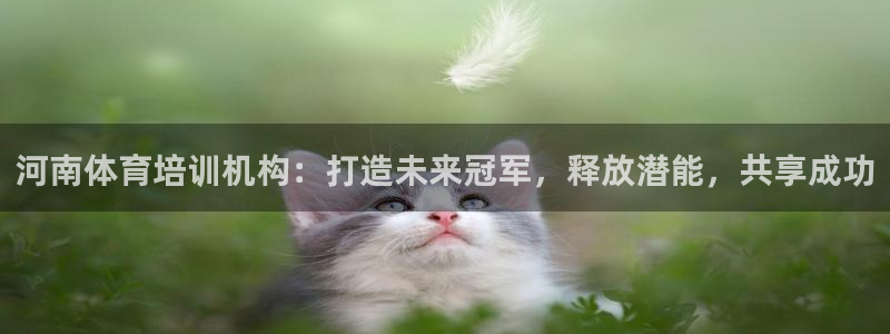 焦点娱乐平台玩法官方导师：河南体育培训机构：打造未来