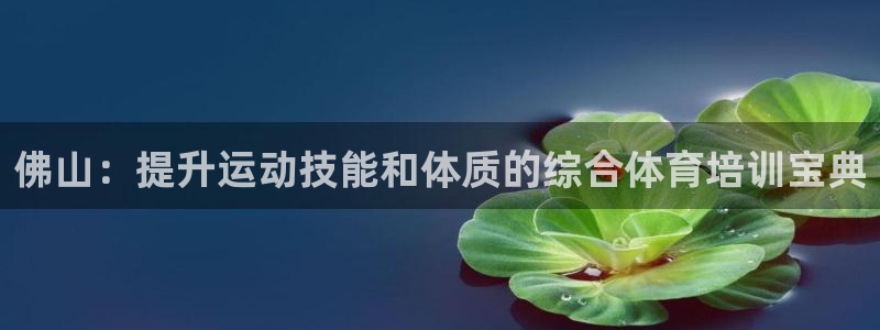 焦点娱乐是哪个公司的产品：佛山：提升运动技能和体质的