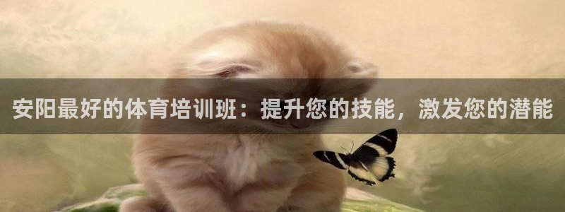 焦点娱乐有限公司怎么样：安阳最好的体育培训班：提升您