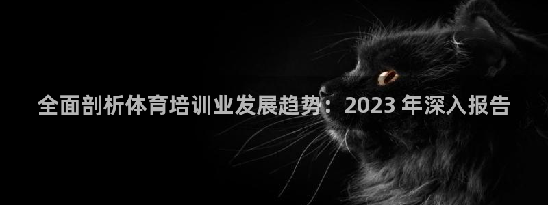 焦点娱乐官方网站下载安装苹果：全面剖析体育培训业发展趋势：2