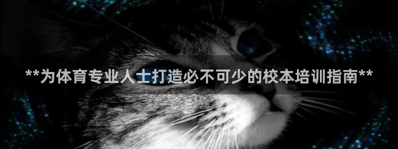 焦点娱乐有限公司官网：**为体育专业人士打造必不可少