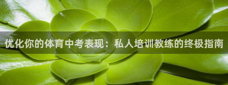 焦点娱乐官网：优化你的体育中考表现：私人培训教练的终