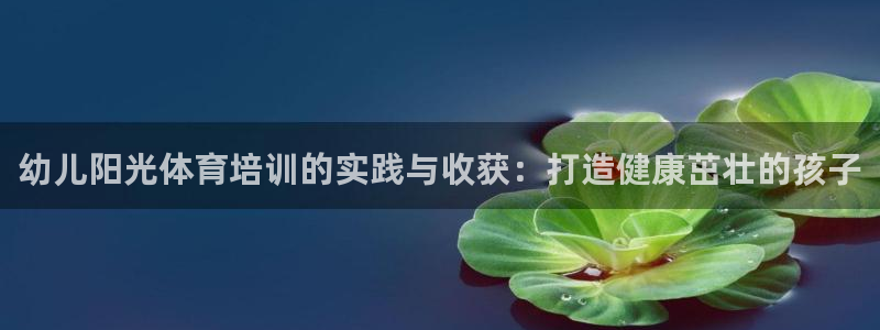 焦点娱乐拉菲11月12日：幼儿阳光体育培训的实践与收获：打造