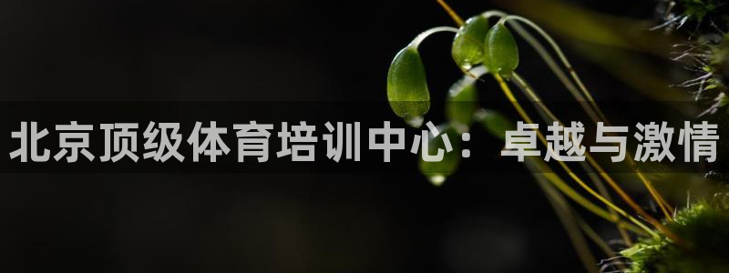 焦点娱乐vs皇族不败神话小说：北京顶级体育培训中心：
