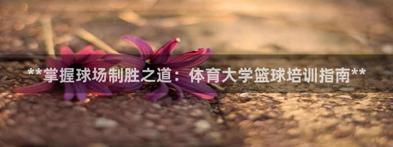 焦点娱乐平台登录不了：**掌握球场制胜之道：体育大学