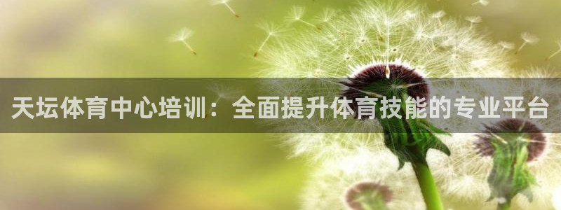 焦点娱乐如何注册账号的：天坛体育中心培训：全面提升体