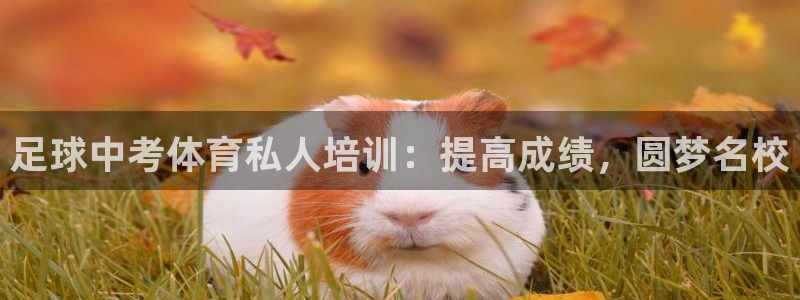 焦点娱乐平台果7O777：足球中考体育私人培训：提高