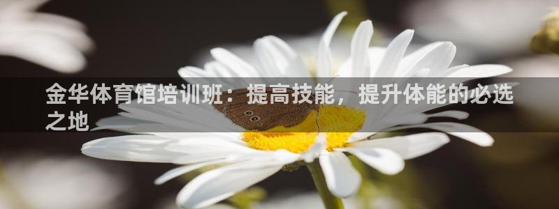 焦点娱乐是哪个公司的软件：金华体育馆培训班：提高技能