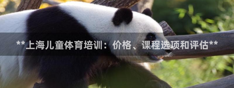 焦点娱乐平台玩法官方导师：**上海儿童体育培训：价格