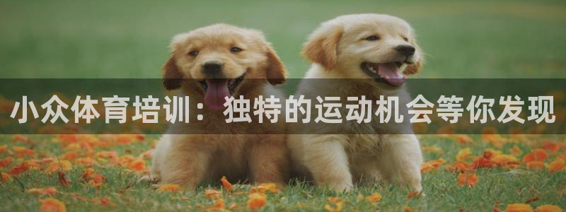 焦点娱乐官方网站首页入口在线观看：小众体育培训：独特