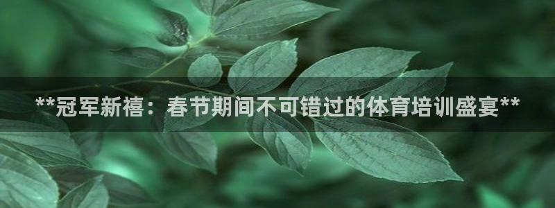 焦点娱乐app下载官网最新版苹果：**冠军新禧：春节