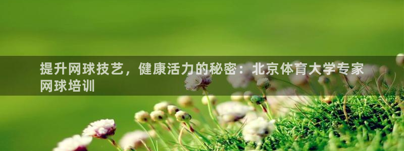 焦点娱乐官网下载安装最新版苹果：提升网球技艺，健康活
