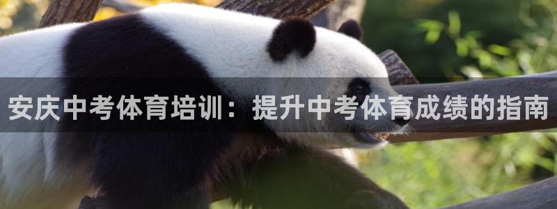 焦点娱乐平台总代理开户怎么样啊：安庆中考体育培训：提升中考体