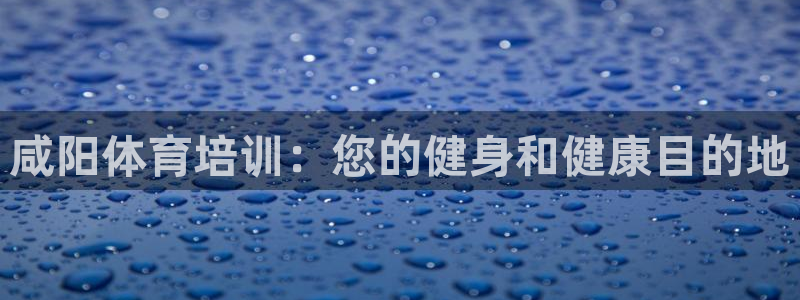 焦点娱乐游戏攻略：咸阳体育培训：您的健身和健康目的地