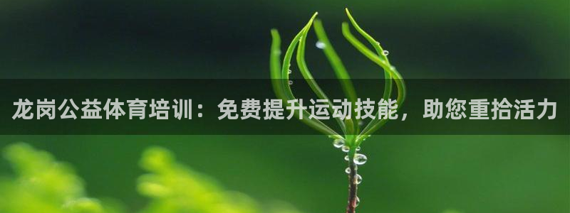 焦点娱乐讲7O777：龙岗公益体育培训：免费提升运动技能，助