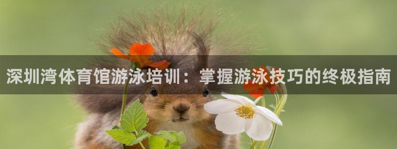 焦点娱乐官方网站首页入口：深圳湾体育馆游泳培训：掌握